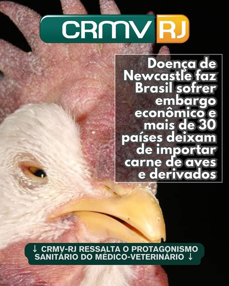 Foto: CRMV-RJ