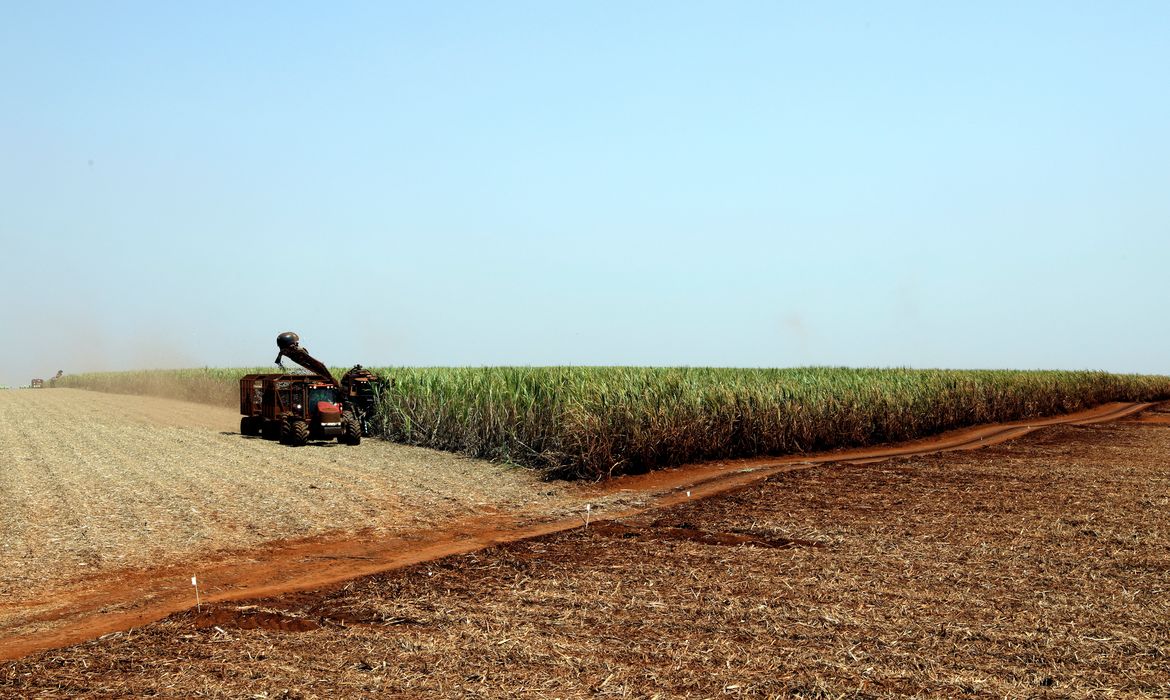 Foto: Agência Brasil - EBC