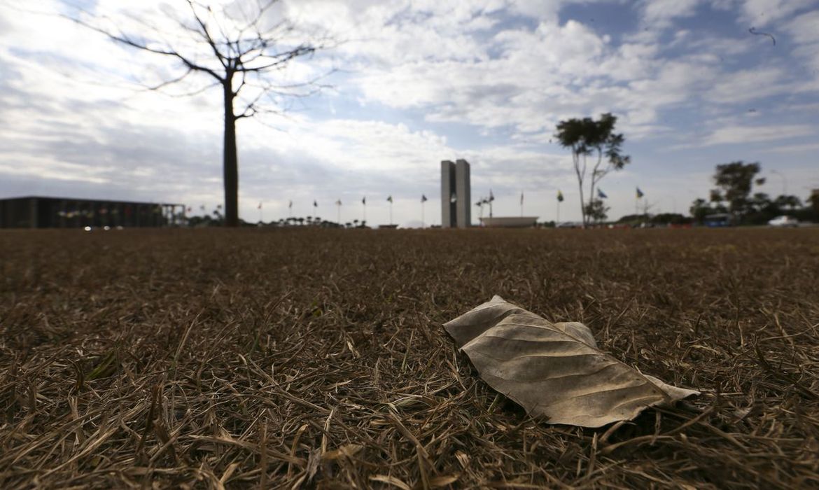 Foto: Agência Brasil - EBC