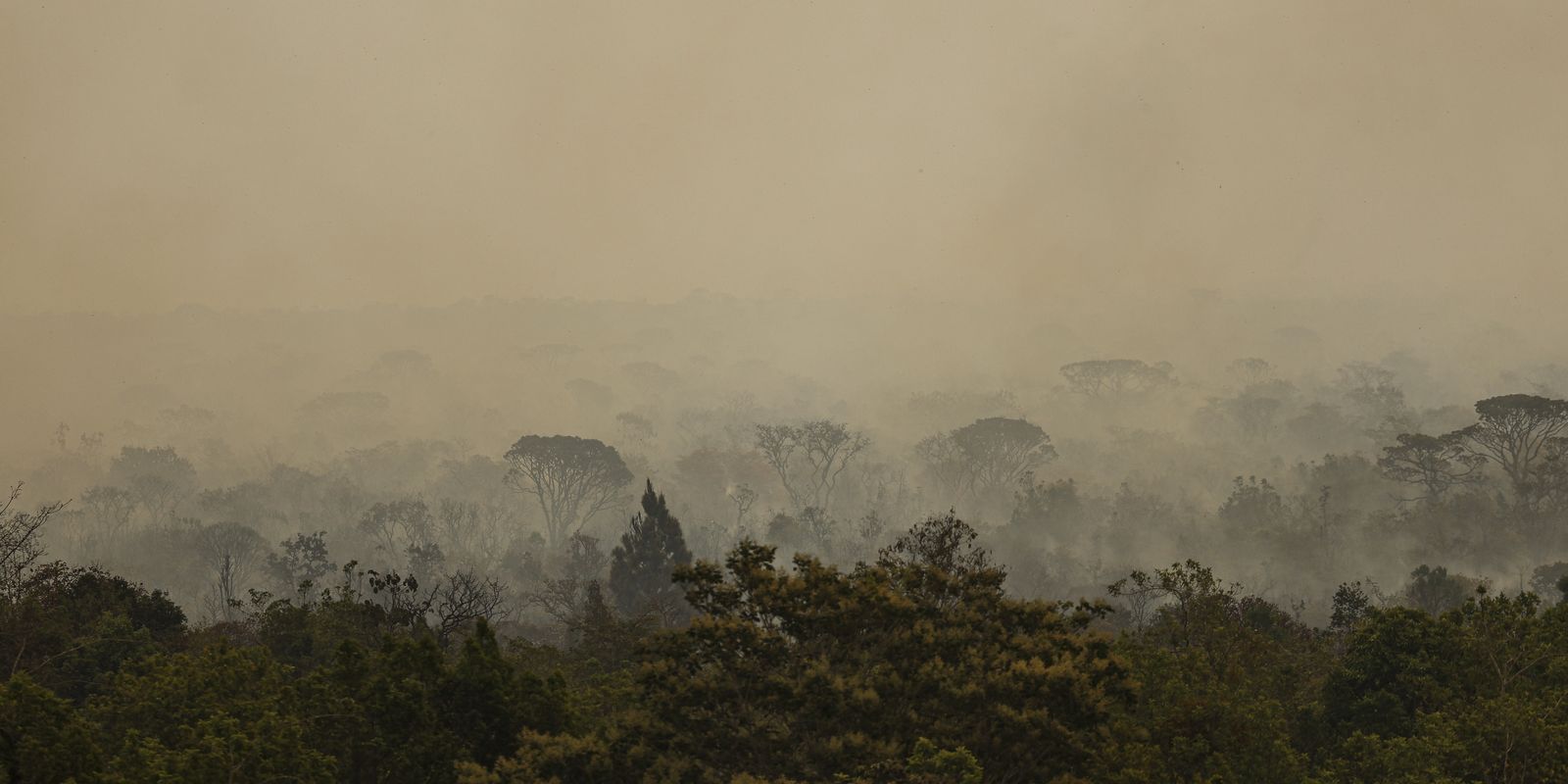 Foto: Agência Brasil - EBC