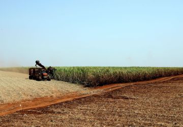 Foto: Agência Brasil - EBC